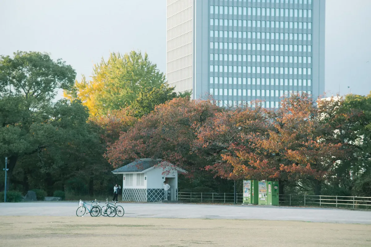 Serene urban park in Japan with autumn trees, bicycles, and modern architecture.