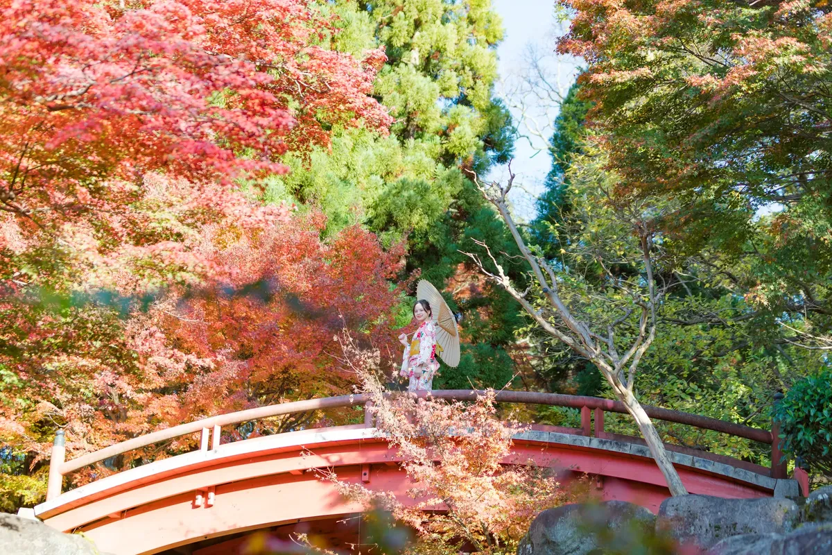 美しい風景に、伝統的な振袖を着た日本の女性がアーチ状の橋上に立っている、秋の豊かな木々が背景に。
