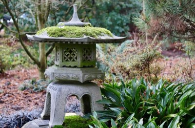 Von Stein bis Moos: Die Essenz japanischer Ästhetik erleben