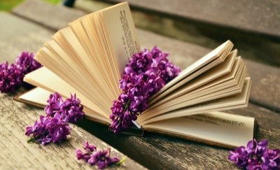 Beyond Crowds: 50-Minute Meditation in a Small Garden