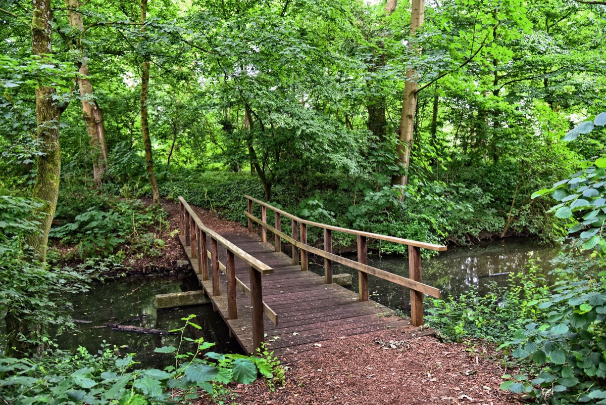 wooden bridge over stream
