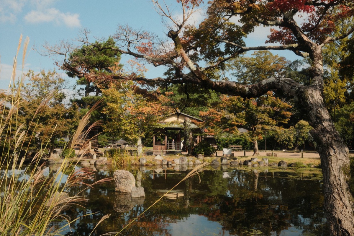 japoneses garden in kyoto