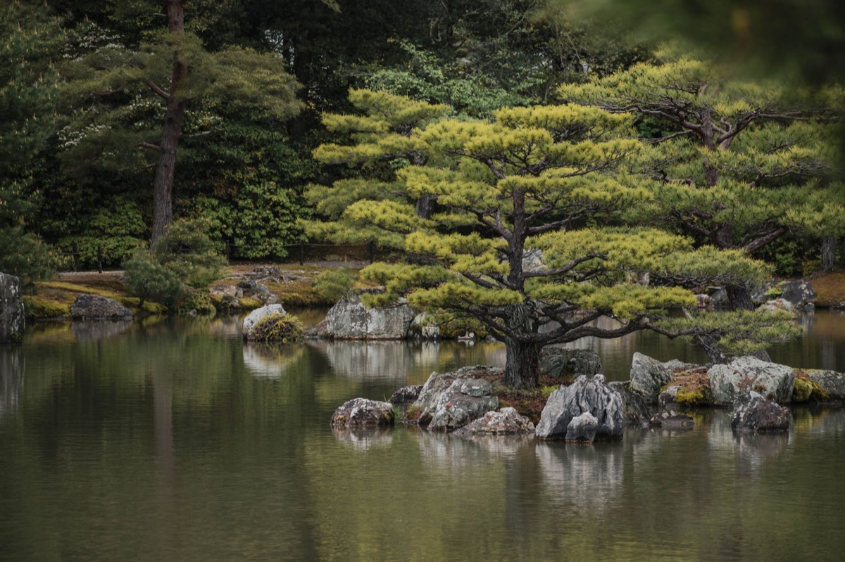 Design de jardin moderne à Kyoto