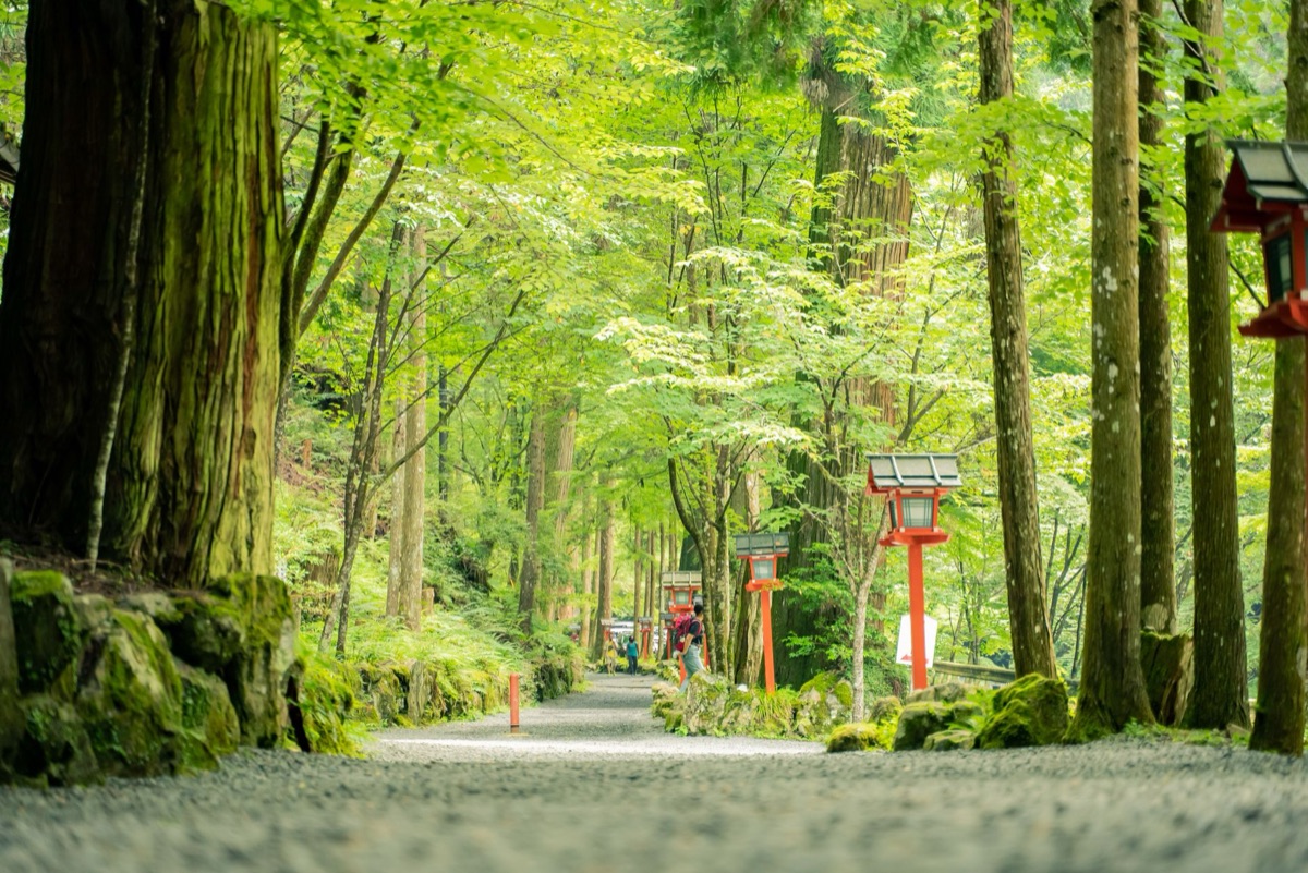 caminho de jardim tradicional em Kyoto