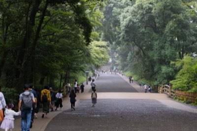 Tokyo Day Trip Guide to Serene Nature Escapes Near City