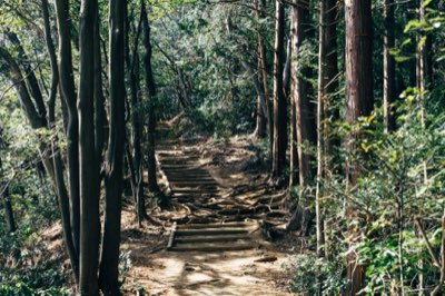 Tips voor een perfecte natuurwandeling nabij Tokyo