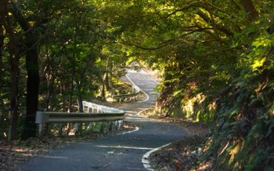 東京近郊自然避難所探索指南：當日往返行程規劃