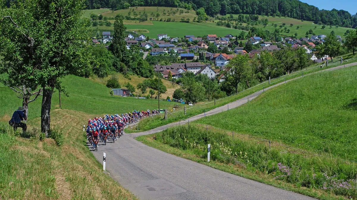 cycling race, cyclists, tour de suisse, professional cyclists, cycling, country tour, road cycling stage race, cycling, cycling, cycling, cycling, cycling